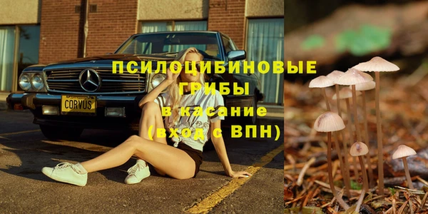 бошки Зерноград