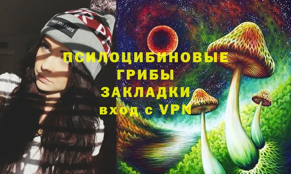 бошки Зерноград