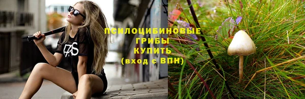 бошки Зерноград