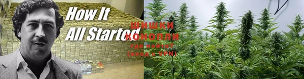 марки lsd Зеленокумск