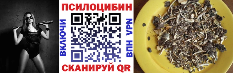 Псилоцибиновые грибы прущие грибы  гидра онион  Каменногорск 