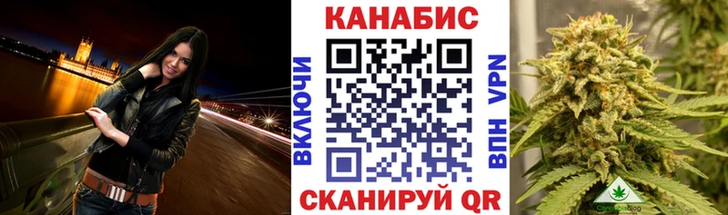 мега tor  Каменногорск  Канабис OG Kush  это клад  сколько стоит 